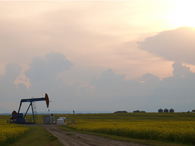 Oil well in a canola field.