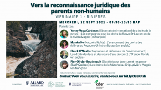 Affiche pour le webinaire: Rivières