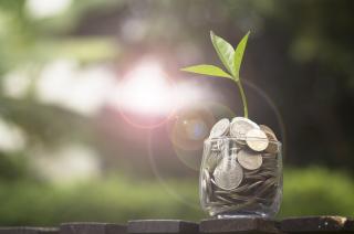 Jar of money sprouting a leaf under the sun